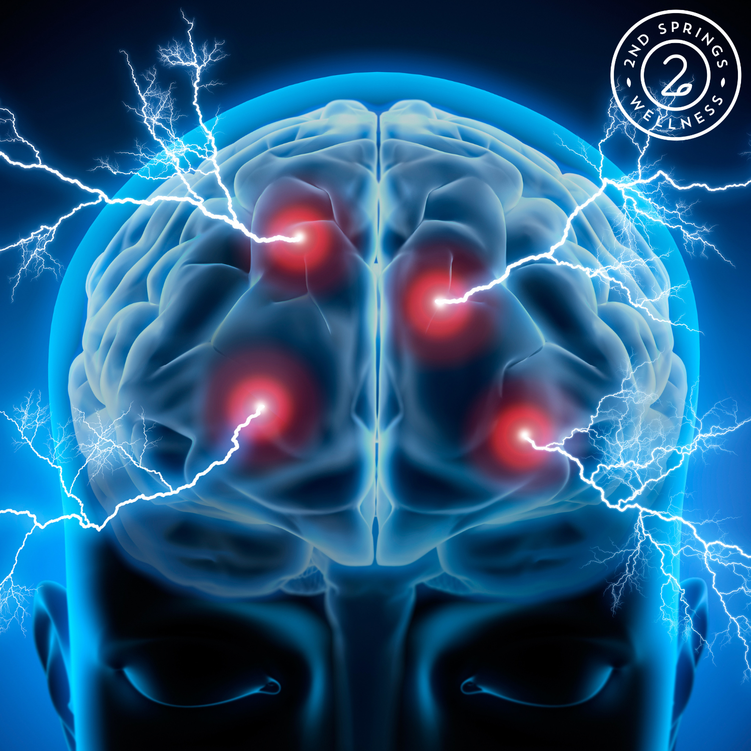 Bacopa Monnieri: A Natural Powerhouse for Brain Health and Cognitive Function