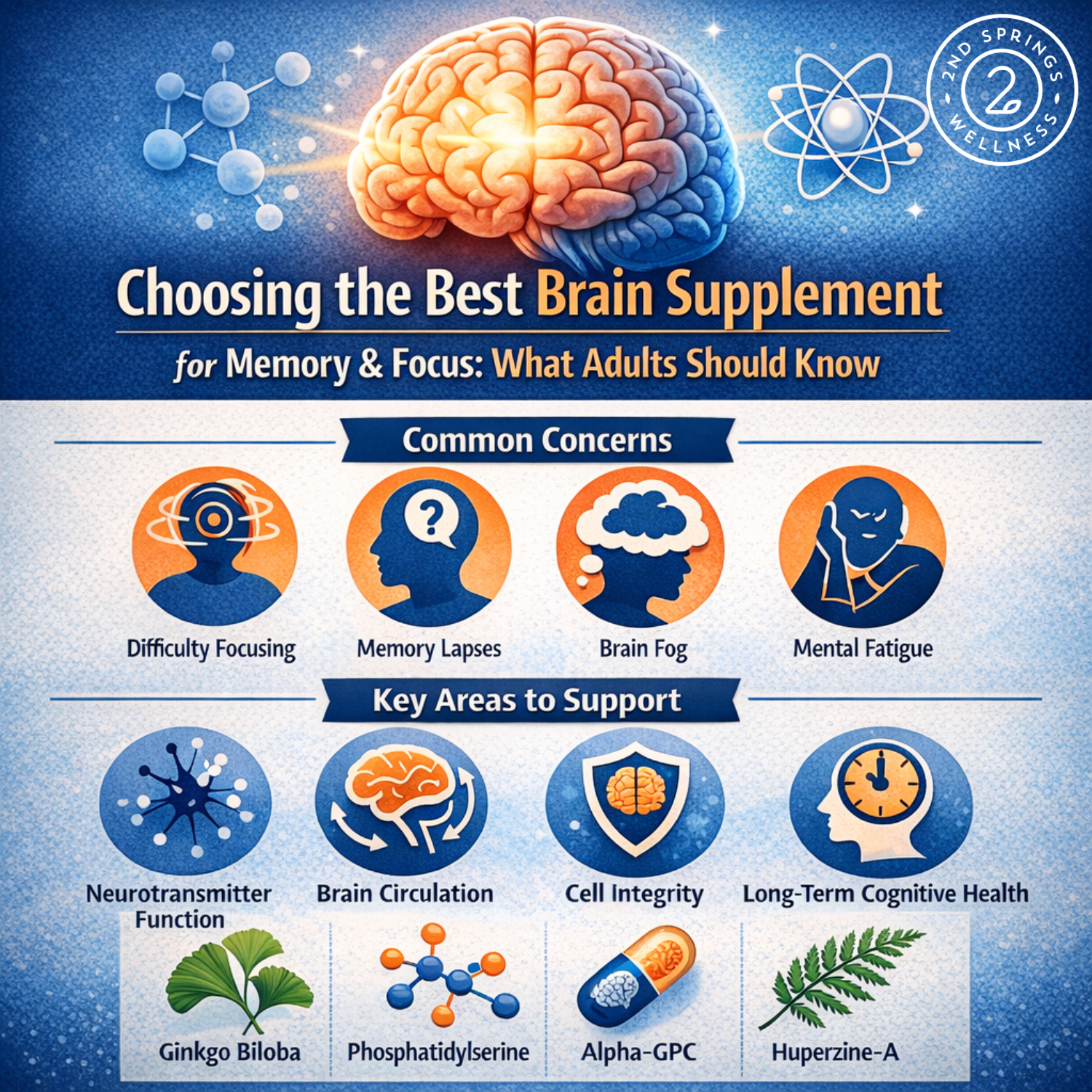 Choosing the Best Brain Supplement for Memory and Focus: What Adults Should Know