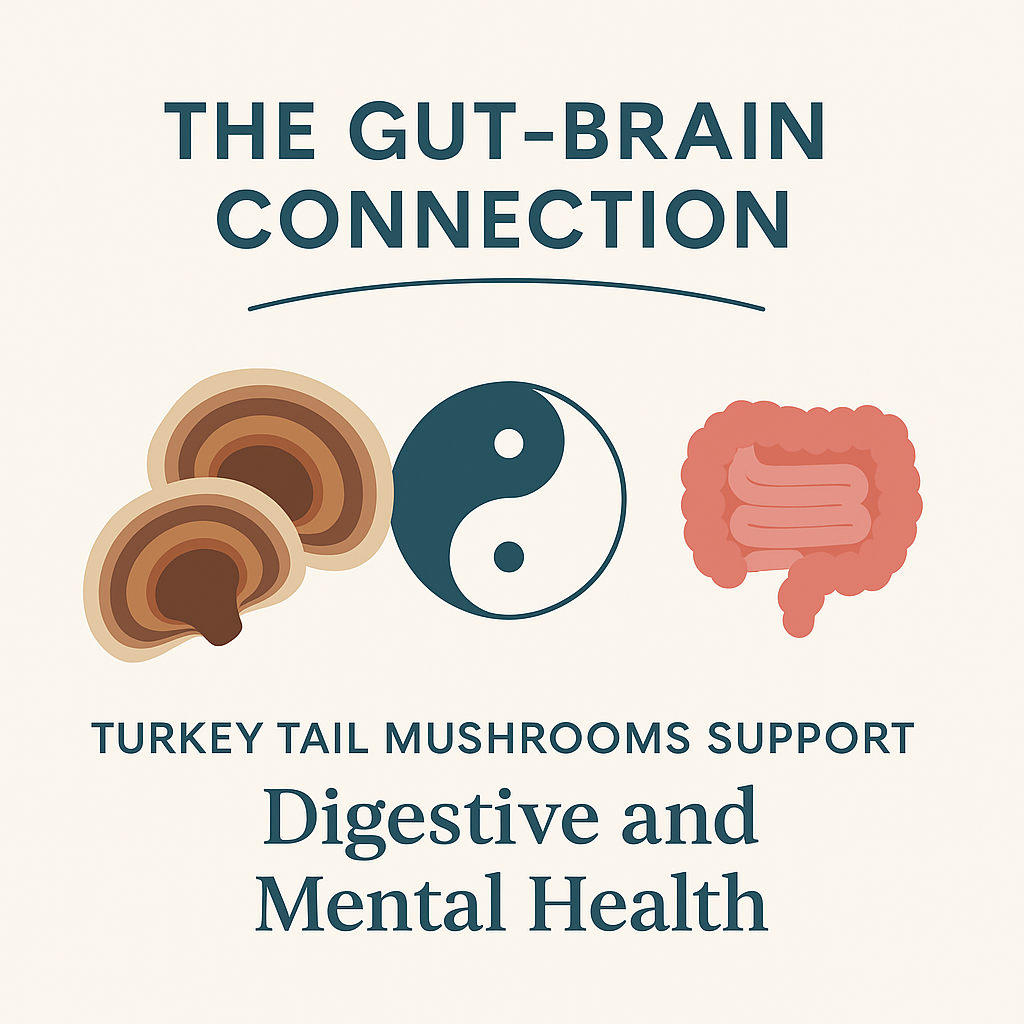 The Gut-Brain Connection: How Turkey Tail Mushrooms Support Digestive and Mental Health