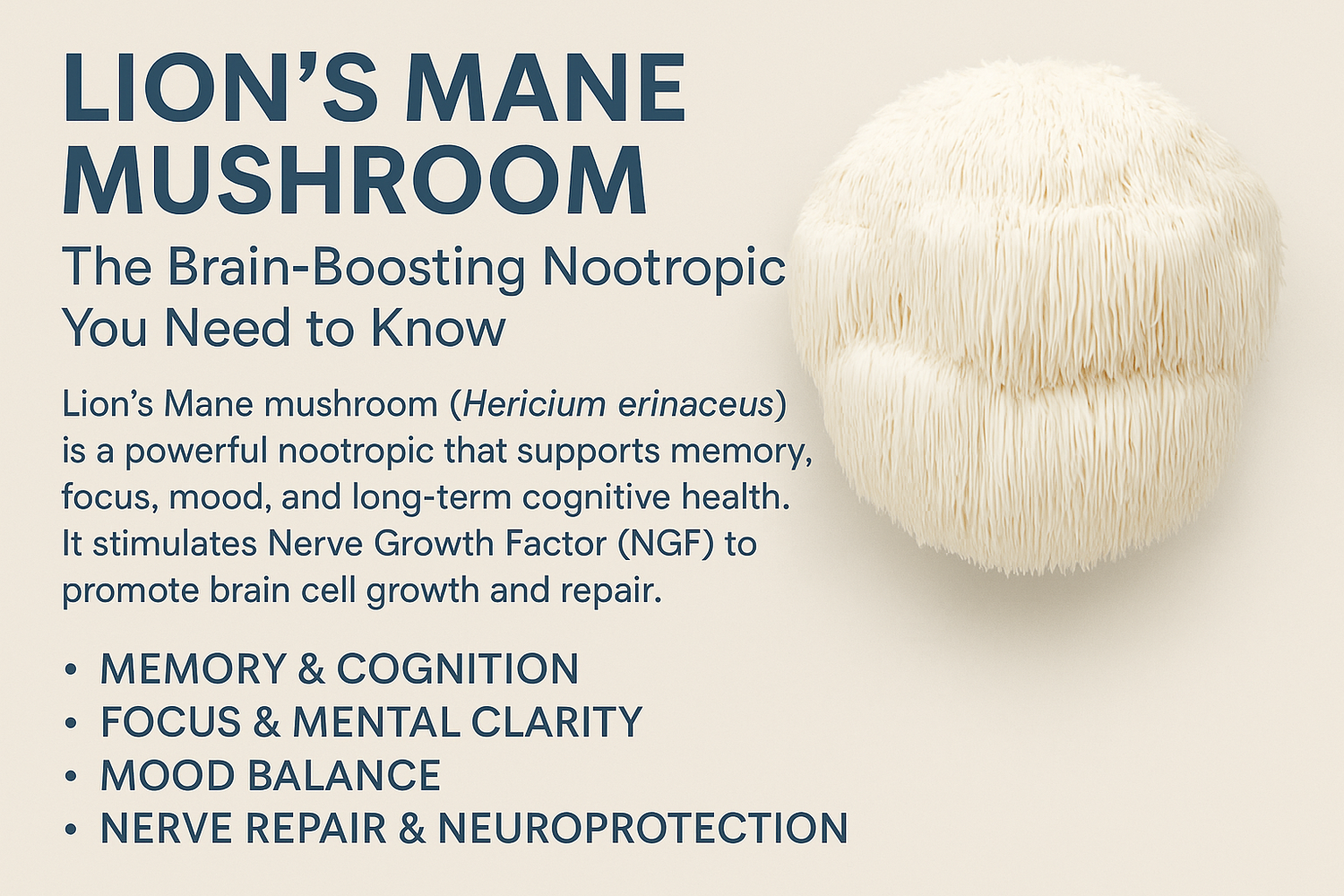 Lion’s Mane Mushroom: The Brain-Boosting Nootropic You Need to Know