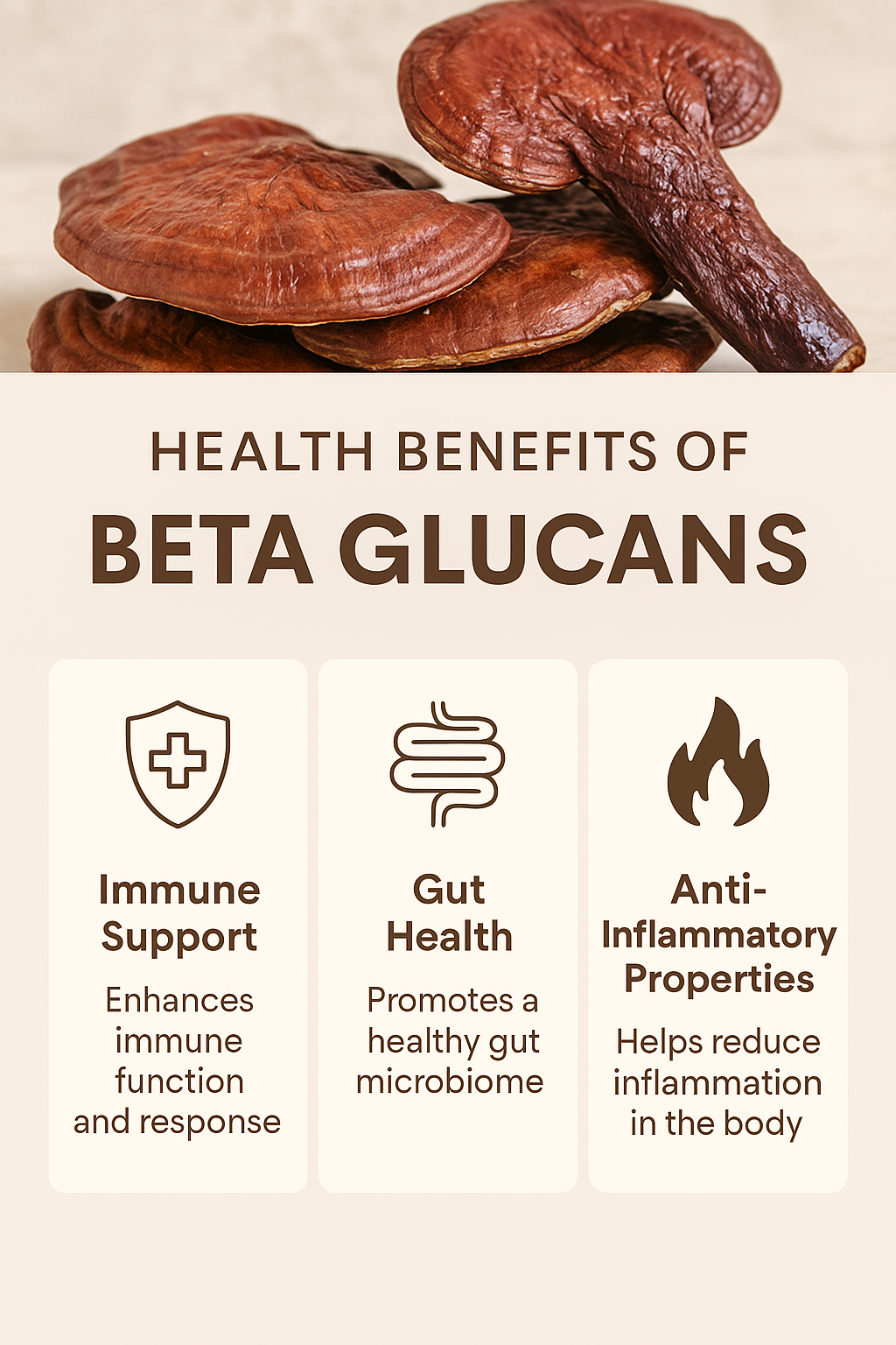 Beta Glucans Explained: The Secret Behind Mushroom Immune Support