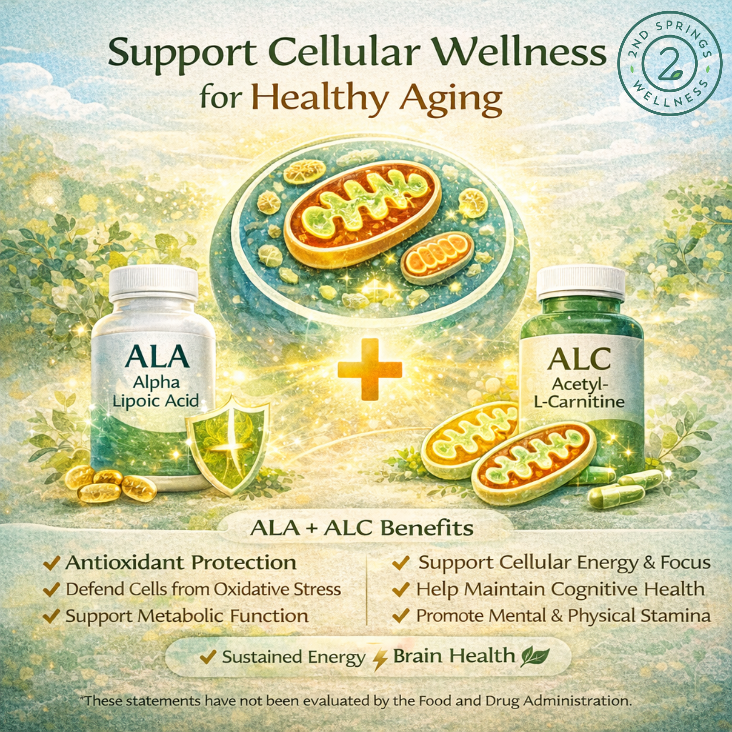 Healthy Aging Starts at the Cellular Level: The Science Behind ALA + ALC and How They Help You Stay Sharp, Energized, and Resilient at Any Age
