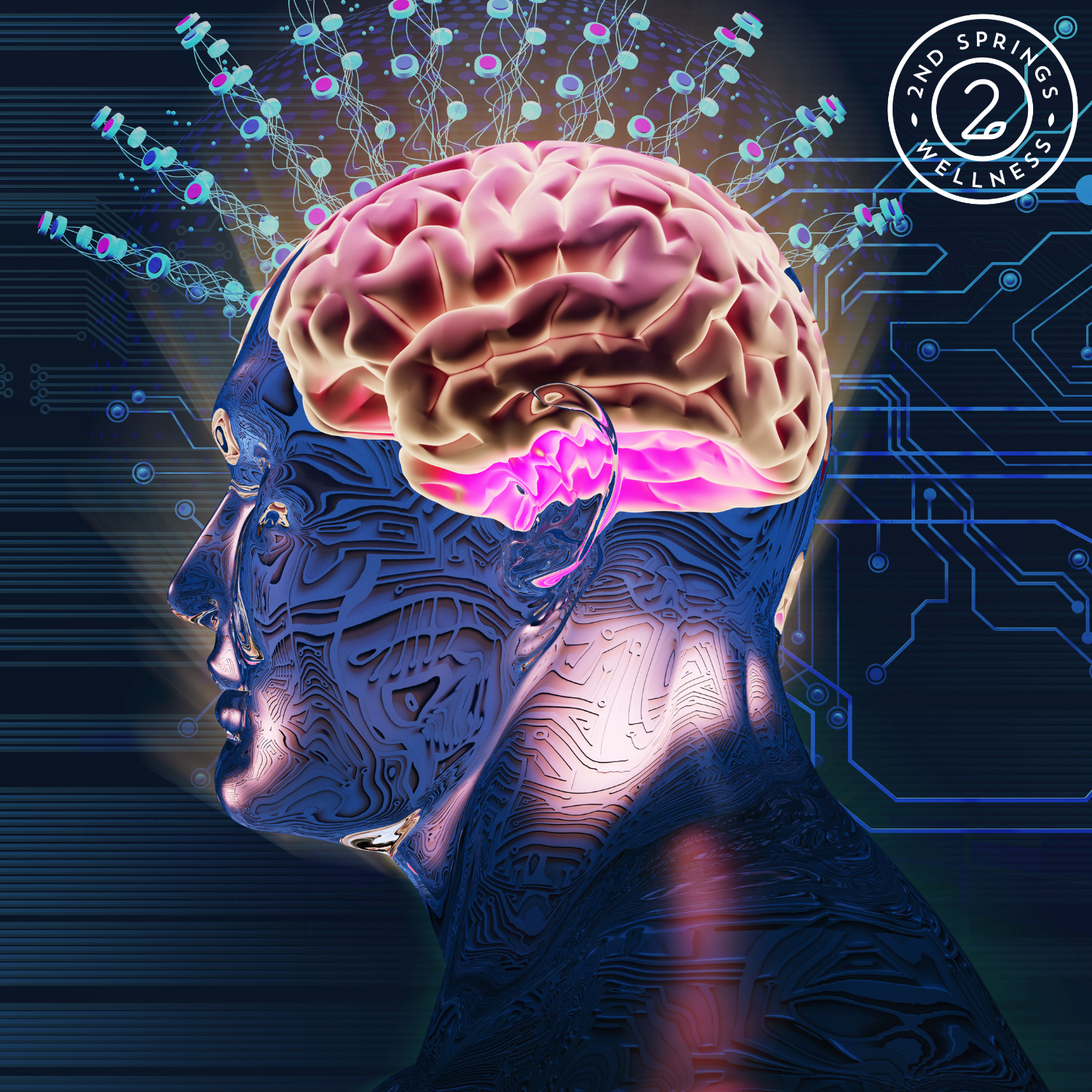 Unlocking the Power of Huperzine-A: Benefits, Uses, and How It Supports Brain Health