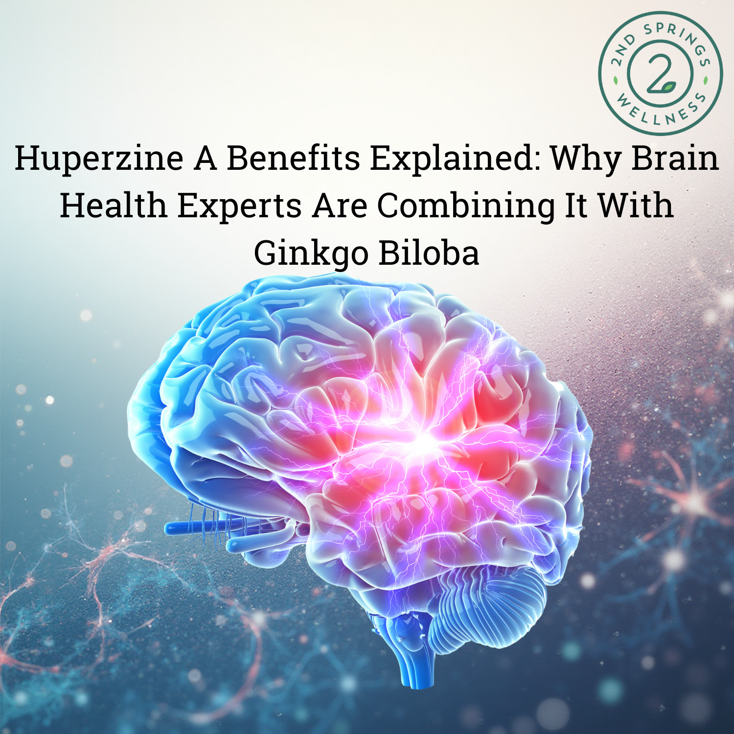 Huperzine A Benefits Explained: Why Brain Health Experts Are Combining It With Ginkgo Biloba