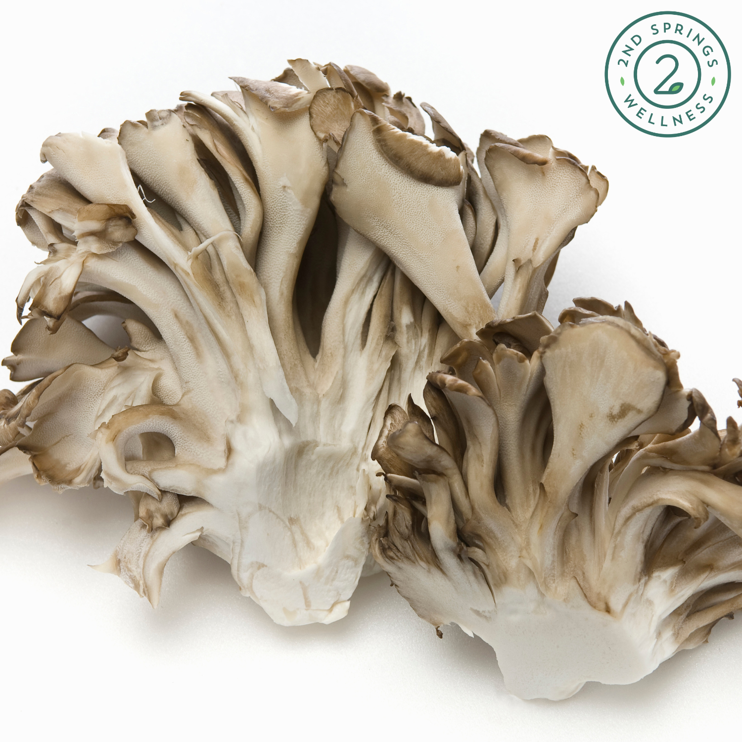 Maitake Mushrooms: A Delicious and Nutritious Superfood for Your Health