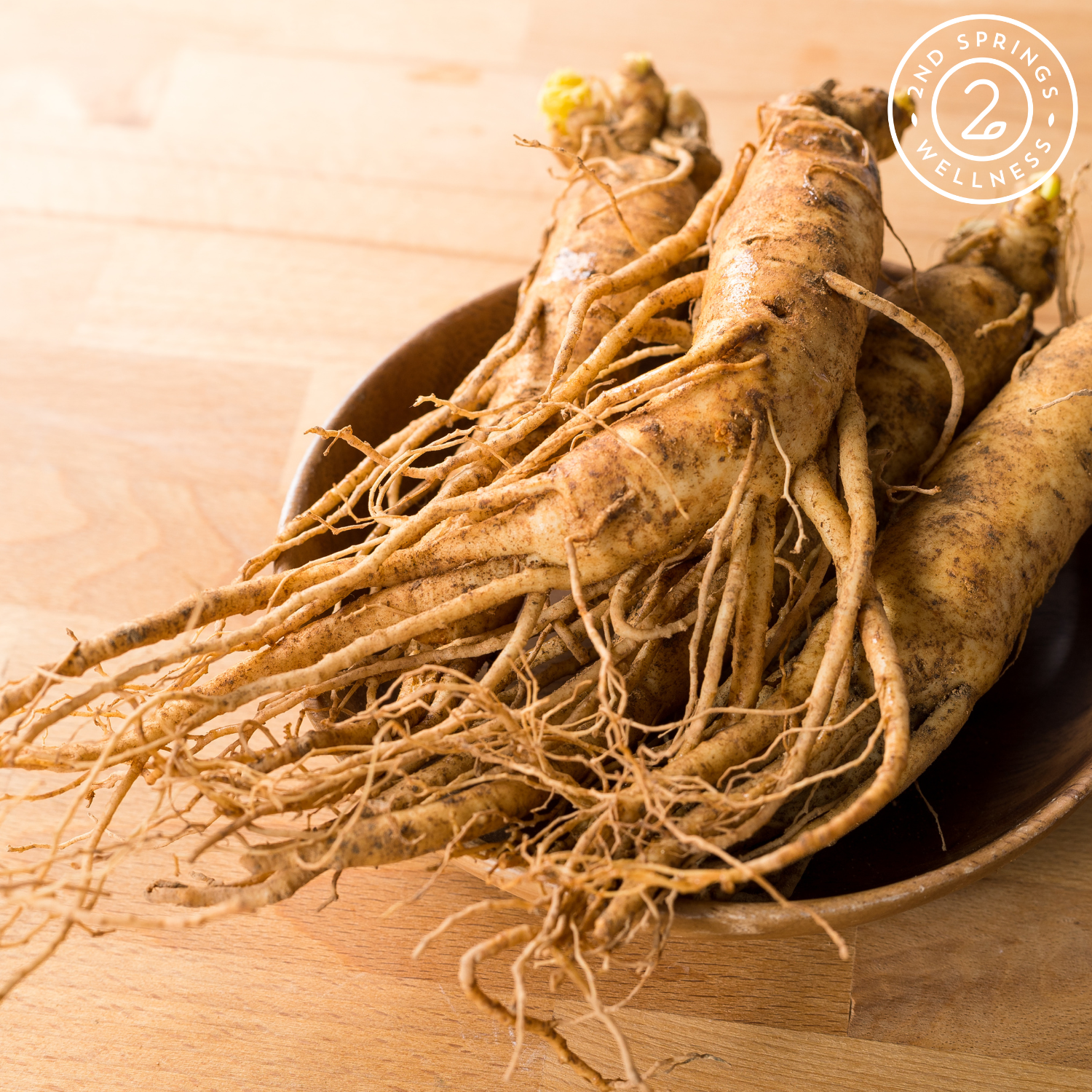 Discover the Power of Panax Ginseng: Nature’s Ancient Secret for Vitality and Wellness