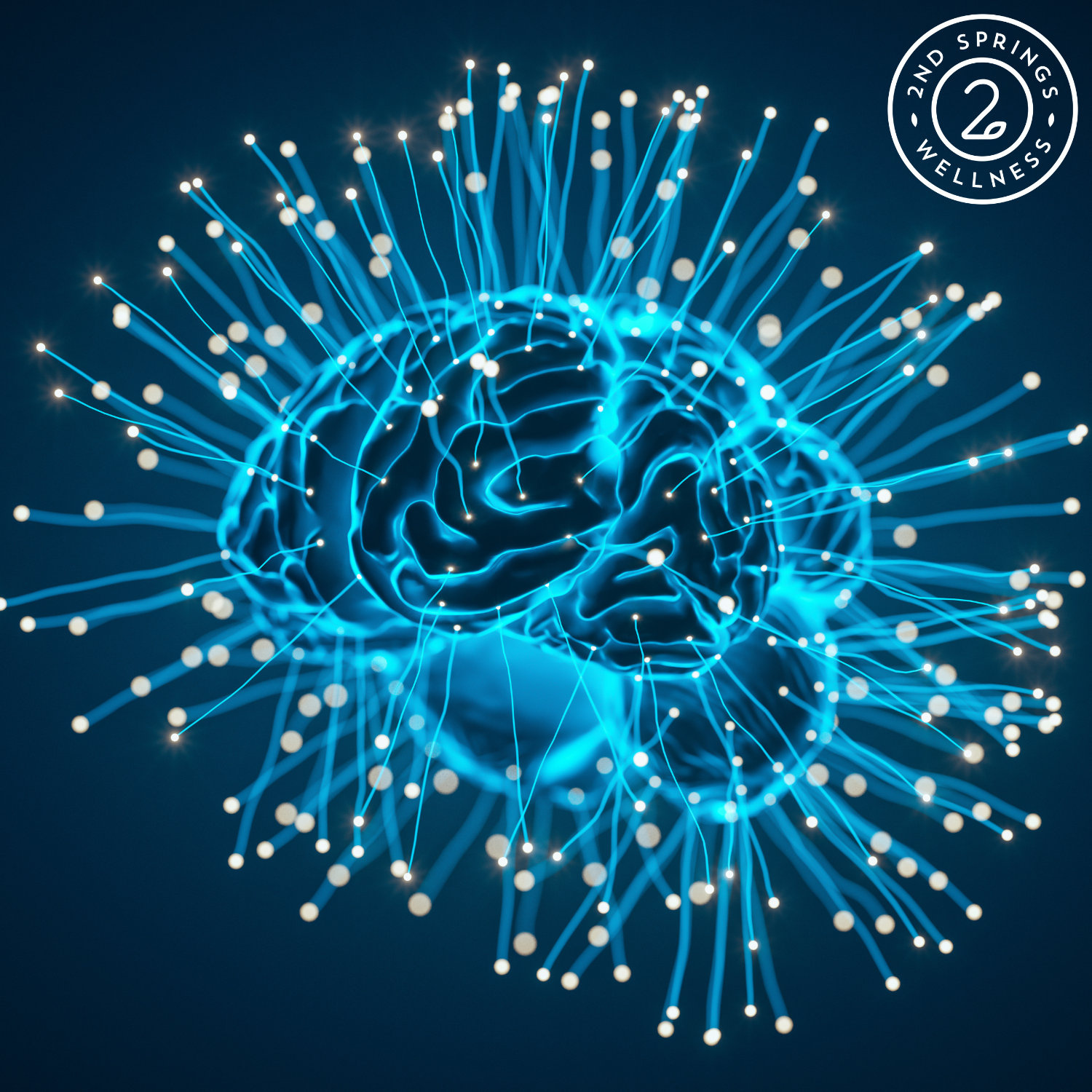 Phosphatidylserine: The Essential Nutrient for Brain Health and Cognitive Function