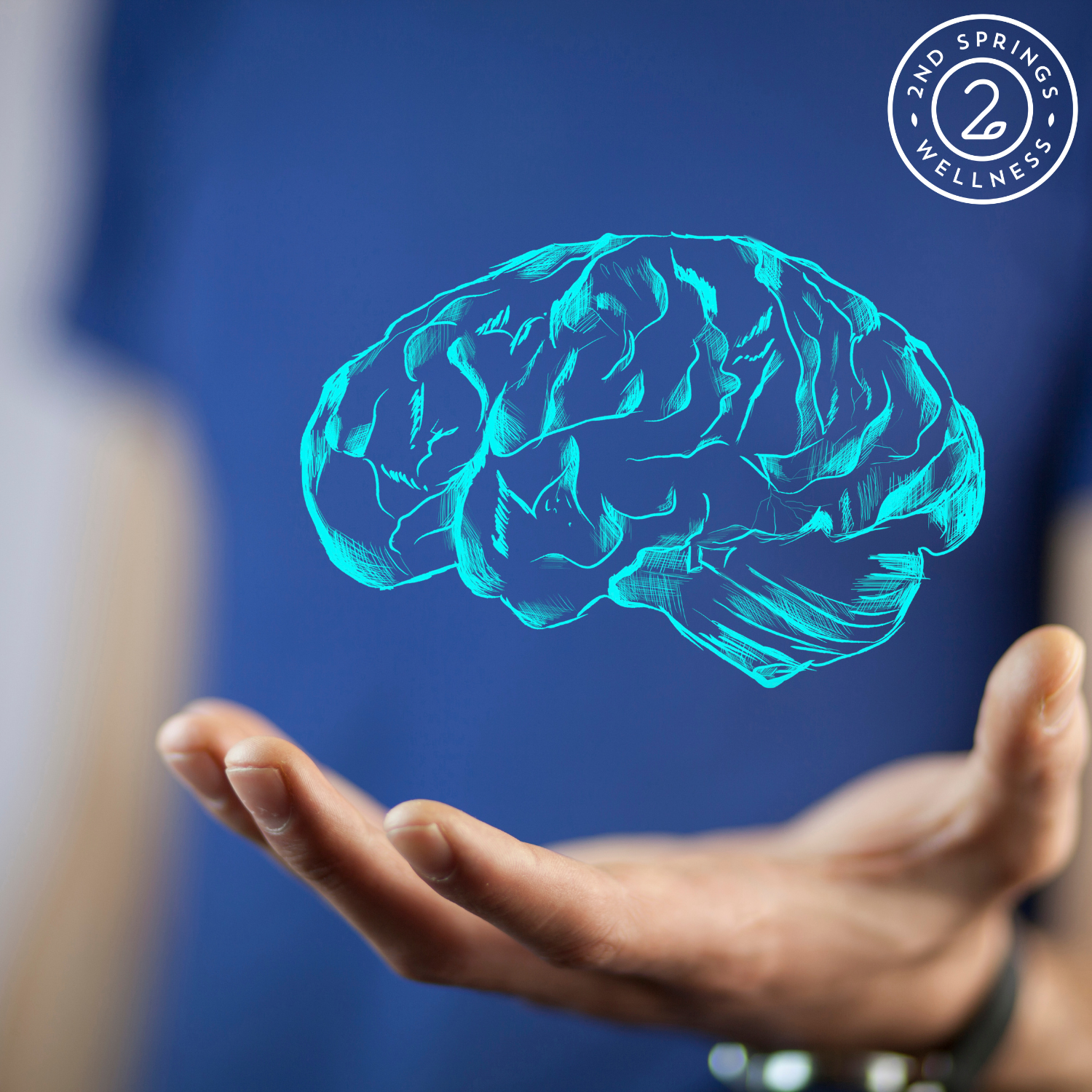 Adaptogens and Nootropics: Understanding Their Role in Health and Wellness