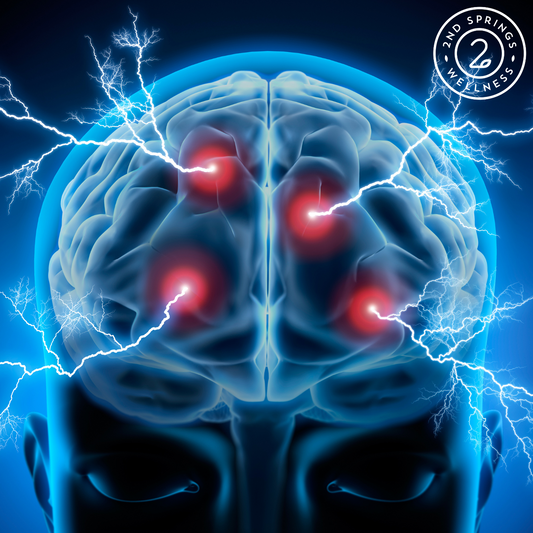 Bacopa Monnieri: A Natural Powerhouse for Brain Health and Cognitive Function