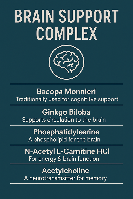 The Science of Neurotransmitters: Why Acetylcholine Matters for Memory