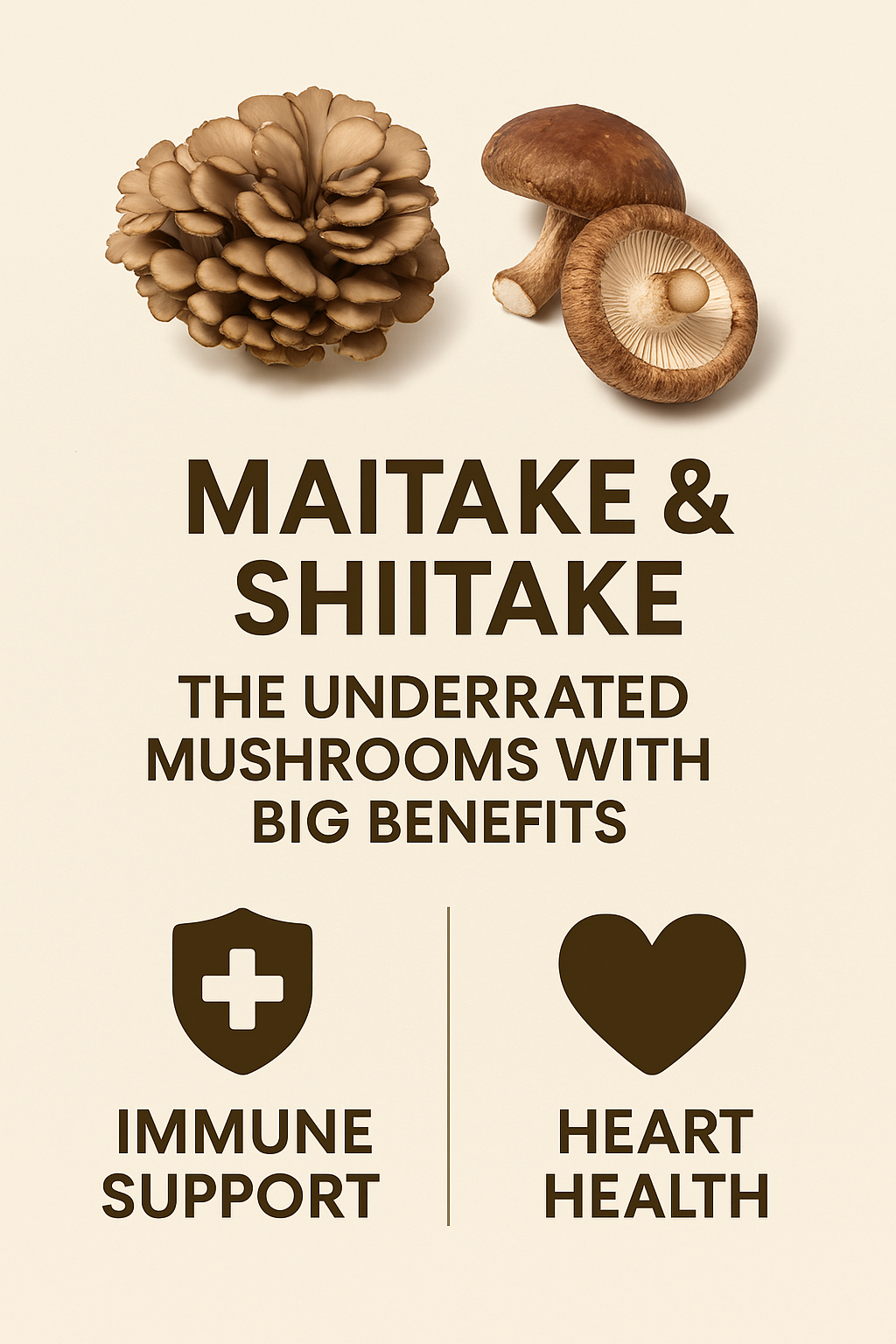 Maitake & Shiitake: The Underrated Mushrooms With Big Benefits
