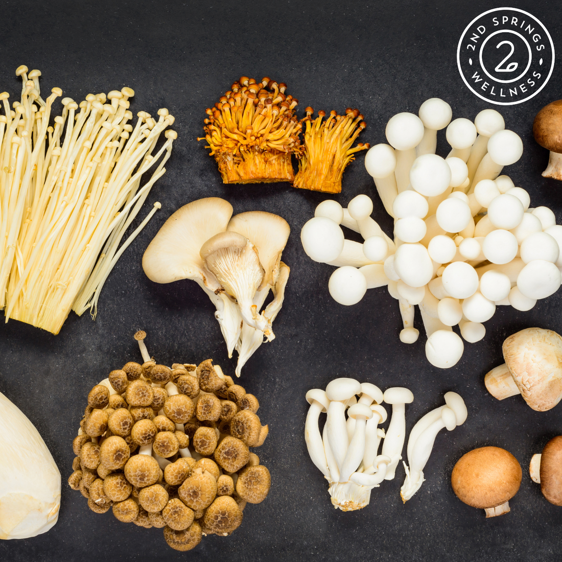 Mushroom Complex vs. Single Mushrooms: Which Is Better For Your Brain and Immunity?