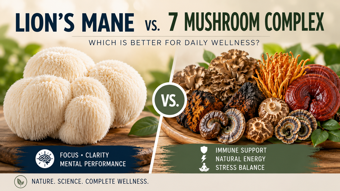 Lion's Mane vs. 7 Mushroom Complex: Which Is Better for Daily Wellness?
