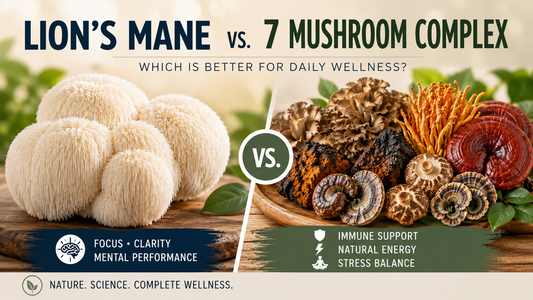 Lion's Mane vs. 7 Mushroom Complex: Which Is Better for Daily Wellness?