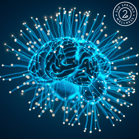 Phosphatidylserine: The Essential Nutrient for Brain Health and Cognitive Function