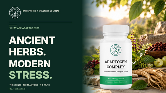 What Are Adaptogens blog hero image featuring 2nd Springs Adaptogen Complex bottle with herbal ingredients
