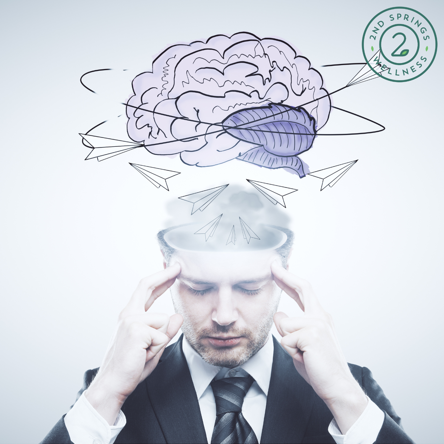 Why Adaptogens and Nootropics Are the Perfect Combination for Stress and Brain Health