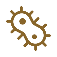 Gut Microbiome